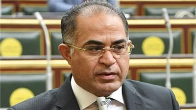 سليمان وهدان: “الشارع المصري متفائل بالحكومة الجديدة”