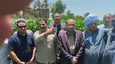 هيئة التعاون الدولي اليابانية 