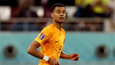 بلغة الأرقام.. هولندا الأفضل تهديفياً وإزعاجاً للحراس