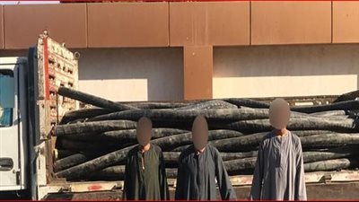 القبض على 3 عناصر إجرامية تخصصوا في سرقة خطوط الكابلات
