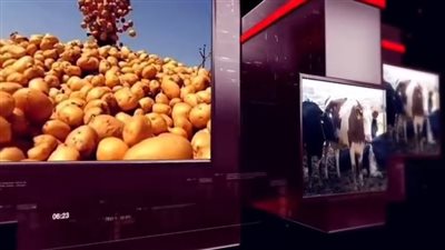 انفوجراف.. أنشطة وجهود مديريات الزراعة والطب البيطري خلال أسبوع