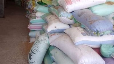 ارتفاع إجمالي توريد القمح لصوامع وشون الشرقية لأكثر من 416 ألف طن 