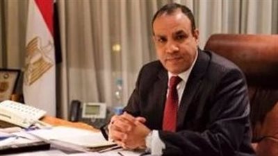 وزير الخارجية والهجرة يؤكد التواصل المباشر والدوري مع الجاليات المصرية بالخارج