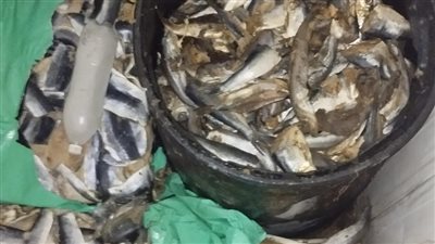 ضبط 120 طن مواد غذائية غير صالحة للاستخدام فى الغربية 