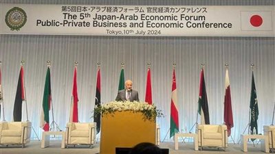 أبو الغيط: العلاقات العربية اليابانية حاضرة باستمرار في أعمال مجالس وهيئات الجامعة العربية