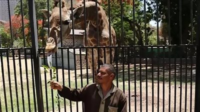 استجابة لما نشرته 