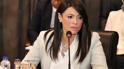 المشاط: دمج وزارتي 