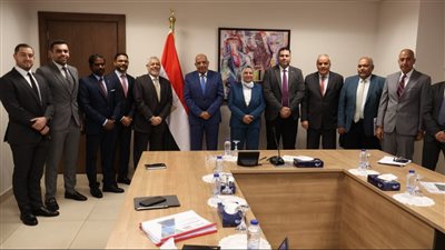 وزير الكهرباء يبحث مع AMEA POWER الإماراتية زيادة استثماراتها فى الطاقة المتجددة