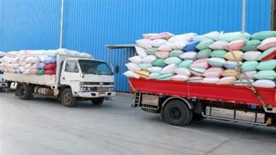 تسابق مراكز ومدن الشرقية على توريد الذهب الأصفر للصوامع والشون