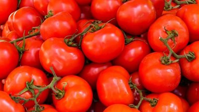 أعلى سعر .. جنون الطماطم يعود من جديد |تفاصيل