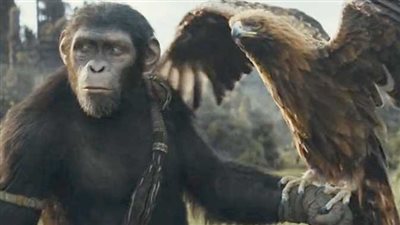 إيرادات فيلم Kingdom of the Planet of the Apes  بالسينمات المصرية
