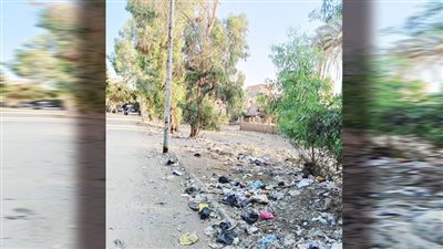 طموحات وأحلام أمام محافظ الجيزة الجديد