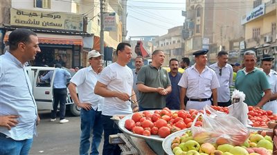  البحيرة: إزالة 550 حالة إشغال طريق بالدلنجات 