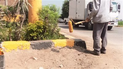  الغربية: مواصلة أعمال التجميل ودهان البلدورات وزارعة أشجار الزينة