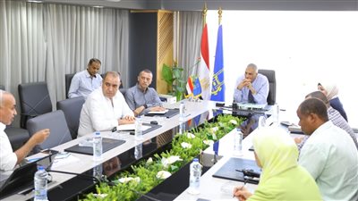 أسوان: وضع حلول جذرية لمشاكل مياه الشرب والصرف الصحى بالمناطق الساخنة 