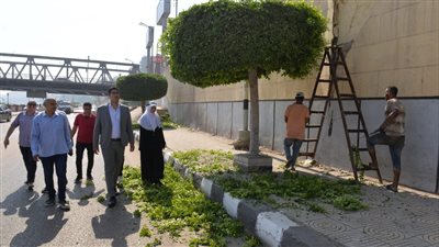 رفع 950 طن قمامة بالمنطقة المركزية بالدقهلية