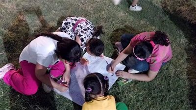 غدًا: مهرجان 