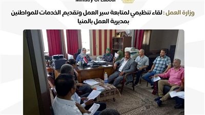 متابعة تقديم الخدمات للمواطنين بمديرية العمل بالمنيا