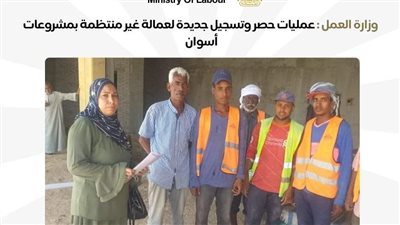 وزارة العمل تواصل عمليات حصر العمالة غير المنتظمة بمشروعات أسوان 