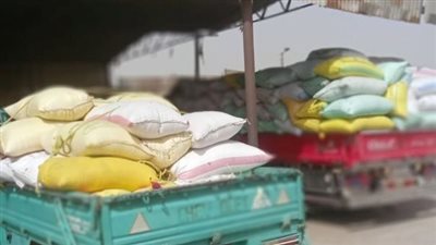 محافظ الشرقية: انتظام توريد القمح بمواقع التخزين في المراكز والمدن