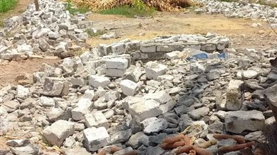 إزالة 71 حالة تعد على الأراضي الزراعية ببني سويف 