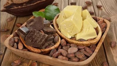 لها مفعول السحر.. فائدة غير متوقعة لأكل زبدة الكاكاو (طبيبة توضح)