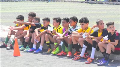 اختبارات المقاولون الخارجية مستمرة في مختلف محافظات مصر