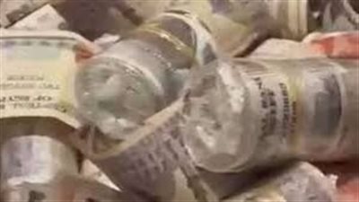 تفاصيل القبض على مواطن هرب نحو مليون جنيه في وجبات شاورما بمطار القاهرة.. فيديو