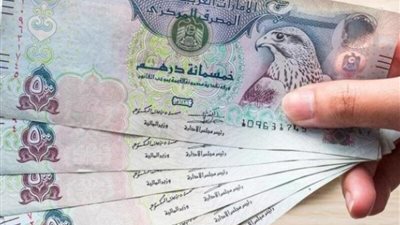 الأصول الأجنبية للمركزي الإماراتي تقفز بواقع 176 مليار درهم