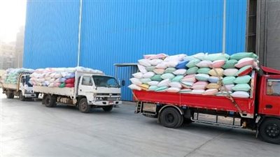 استمرار توافد محصول القمح إلى صوامع وشون محافظة الشرقية