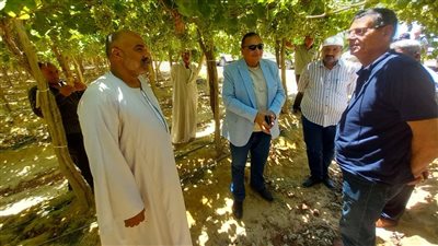 رئيس استصلاح الأراضي يتابع المحاصيل الاستراتيجية ومنظومة الأسمدة في الدقهلية وكفر الشيخ والبحيرة