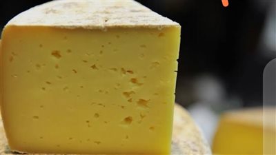 أكلوا جبنة رومى.. تسمم 36 شخصا بالقصير 
