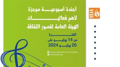 أجندة قصور الثقافة.. أفلام مجانية ومشاركة بمهرجان العلمين وأسبوع ثقافي للشباب بسيناء 