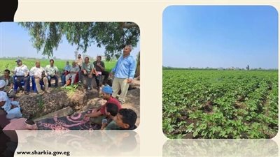 ندوة إرشادية للنهوض بمحصول القطن لمزارعي قرية أبو متنا 