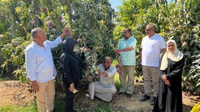 الزراعة تتفقد الزراعات  بالسويس.. ورئيس شئون المديريات: الحالة العامة للمحاصيل جيدة
