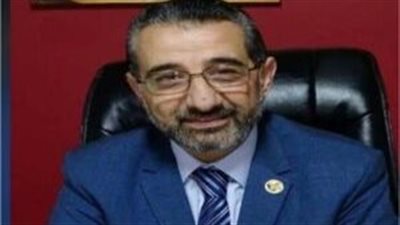 السمدوني: ضرورة دخول القطاع الخاص لتطوير أسطول النقل التجاري البحري المصري