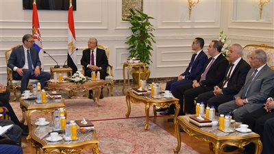 حنفي جبالي يلتقي رئيس جمهورية صربيا