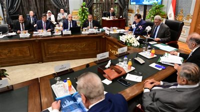 الشئون النيابية: أمن مصر المائي دائماً على رأس أولويات الحكومة 
