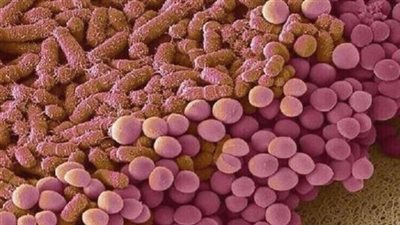 طرق بسيطة لتعزيز صحة الأمعاء