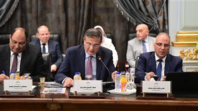 وزير الزراعة أمام النواب: مواجهة التعديات على الأراضي وزيادة الصادرات أولوياتنا