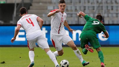 نوتنجهام فورست يقدم عرضاً للصربي ميلينكوفيتش