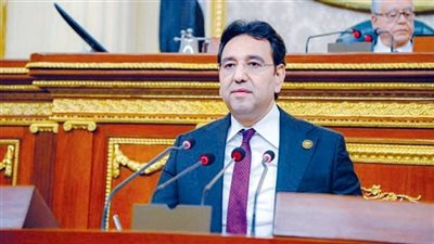 النائب أيمن محسب يثمن تخصيص الشركة 