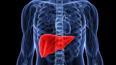 طبيب يكشف عن أفضل المنتجات لاستعادة صحة الكبد