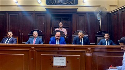 5 سنوات مشدد وغرامة 100 ألف جنيه لتجار الصنف بالاسماعيلية