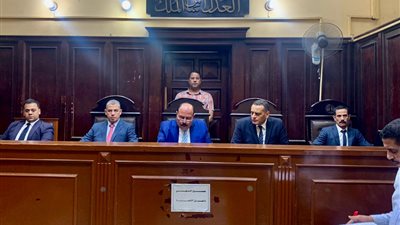 خمس سنوات مشدد وغرامة 100 الف جنيه لتجار الصنف بالاسماعيلية 