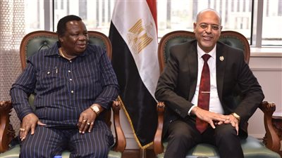 وزير العمل يستقبل رئيس منظمة الوحدة النقابية الإفريقية و