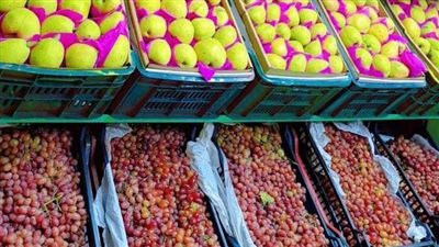 الطماطم بـ15 جنيها.. أسعار الخضروات والفاكهة بأسواق الفيوم 