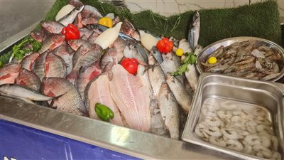 كيلو الماكريل بـ 118 جنيهًا.. أسعار الأسماك اليوم الجمعة 