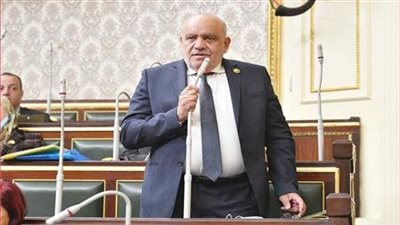 النائب سيد حنفى: المواطن ينتظر نجاح جهود الحكومة لمواجهة ارتفاع أسعار السلع