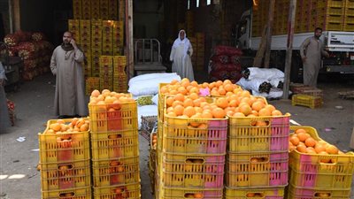  تشغيل شادر نجع حمادي الجديد شمال قنا منتصف أغسطس القادم 
